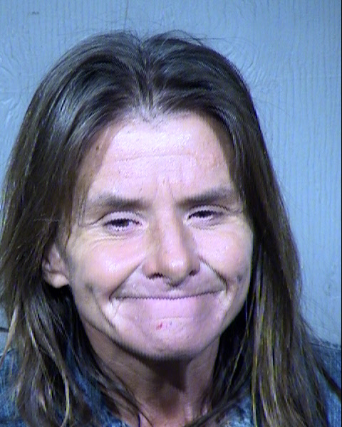 Joann Amy Ford Mugshot / Maricopa County Arrests / Maricopa County Arizona