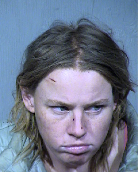 Sharon Louise Scholin Mugshot / Maricopa County Arrests / Maricopa County Arizona