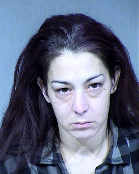 Kristin Nicole Ireland Mugshot / Maricopa County Arrests / Maricopa County Arizona