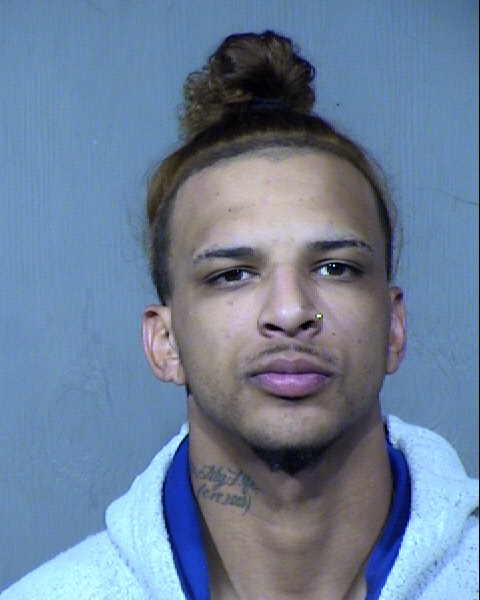 Shawn Allan Lewers Mugshot / Maricopa County Arrests / Maricopa County Arizona