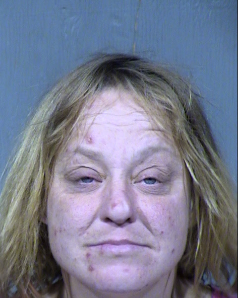 Laura Ann Voyles Mugshot / Maricopa County Arrests / Maricopa County Arizona