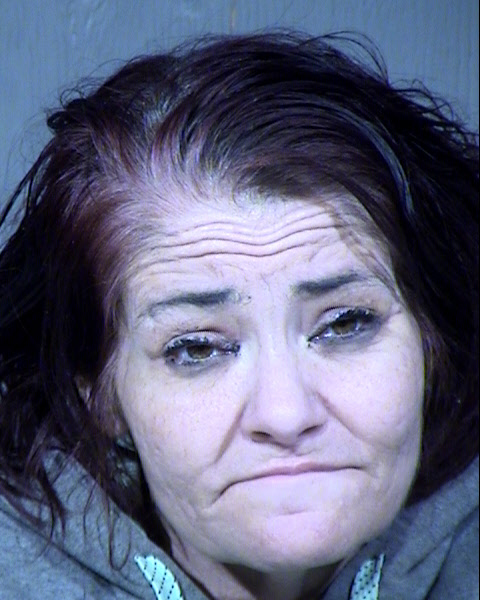 Amy S Dahl Mugshot / Maricopa County Arrests / Maricopa County Arizona