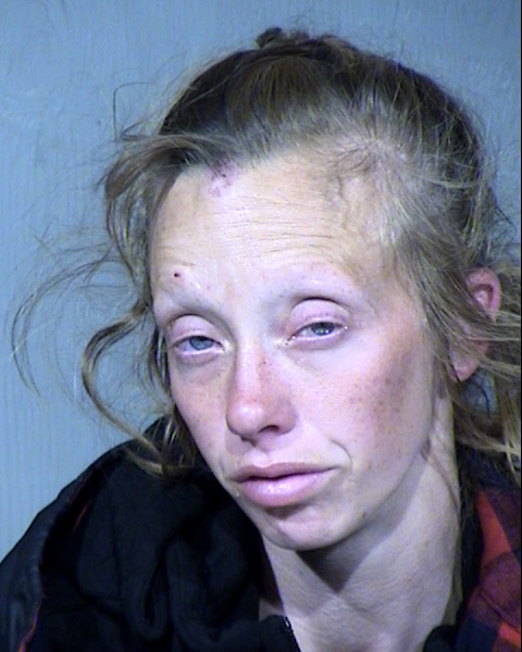 Whitney Lin Russo Mugshot / Maricopa County Arrests / Maricopa County Arizona