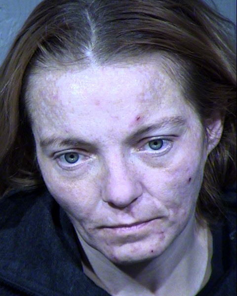 Christine Teressa Wood Mugshot / Maricopa County Arrests / Maricopa County Arizona