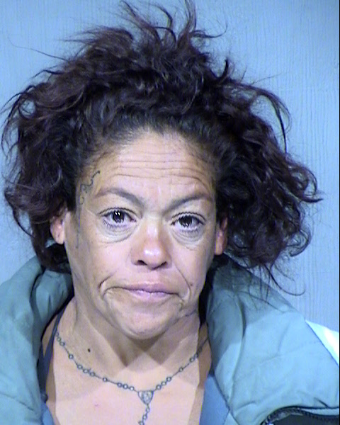 Peggy Sue Jenkins Mugshot / Maricopa County Arrests / Maricopa County Arizona