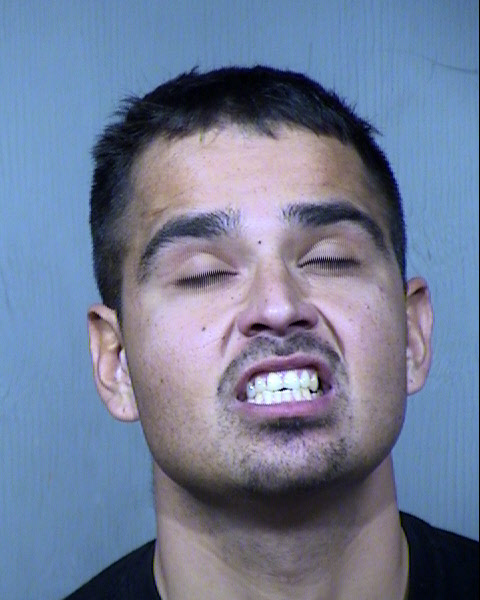 Benjamin Hamid Alissa Webb Mugshot / Maricopa County Arrests / Maricopa County Arizona