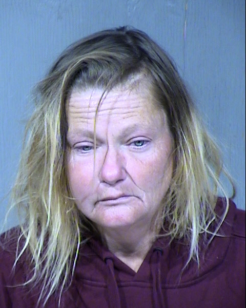 Carol J Lynn Mugshot / Maricopa County Arrests / Maricopa County Arizona