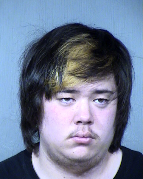 Benjiman Cole Mugshot / Maricopa County Arrests / Maricopa County Arizona