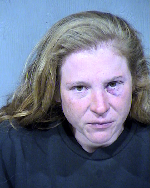 Vanessa Ellison Mugshot / Maricopa County Arrests / Maricopa County Arizona