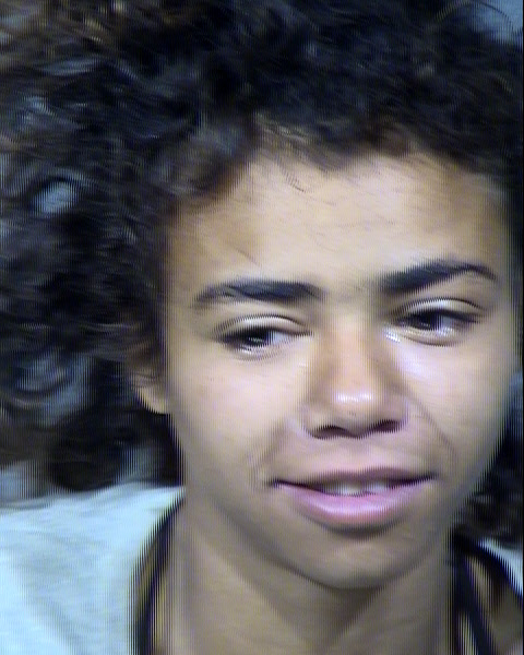 Helena Wilkinson Mugshot / Maricopa County Arrests / Maricopa County Arizona