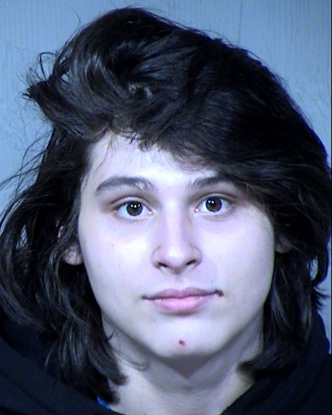 Ernesto E Guzman Mugshot / Maricopa County Arrests / Maricopa County Arizona
