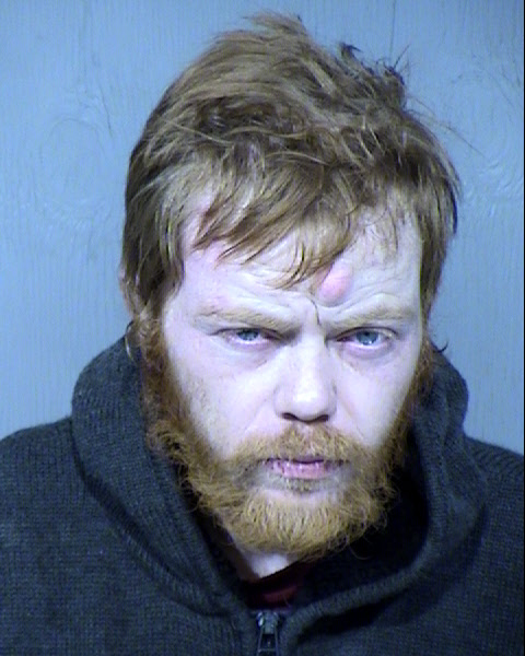 Wesley Steve Lewis Mugshot / Maricopa County Arrests / Maricopa County Arizona