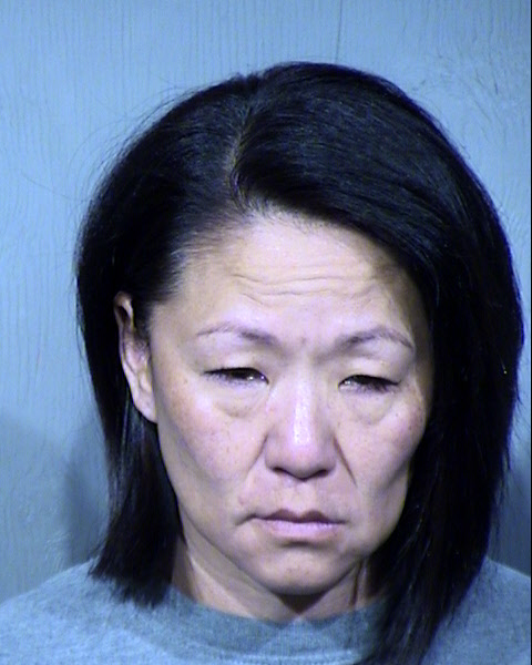 Dawn Koren Foxx Mugshot / Maricopa County Arrests / Maricopa County Arizona