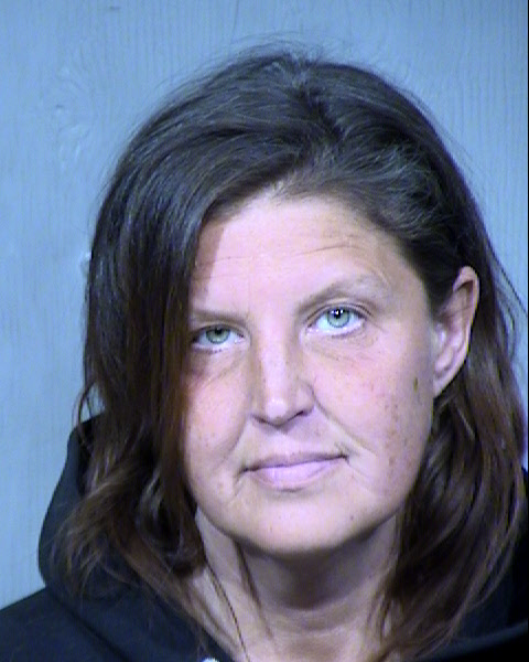 Bridget Michelle Seig Mugshot / Maricopa County Arrests / Maricopa County Arizona