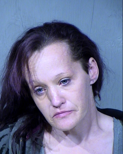 Rikki Lynn Hall Mugshot / Maricopa County Arrests / Maricopa County Arizona