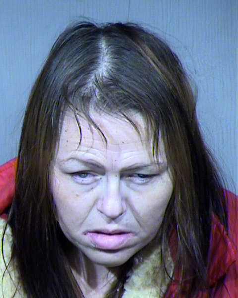 Amy L Kinzle Mugshot / Maricopa County Arrests / Maricopa County Arizona