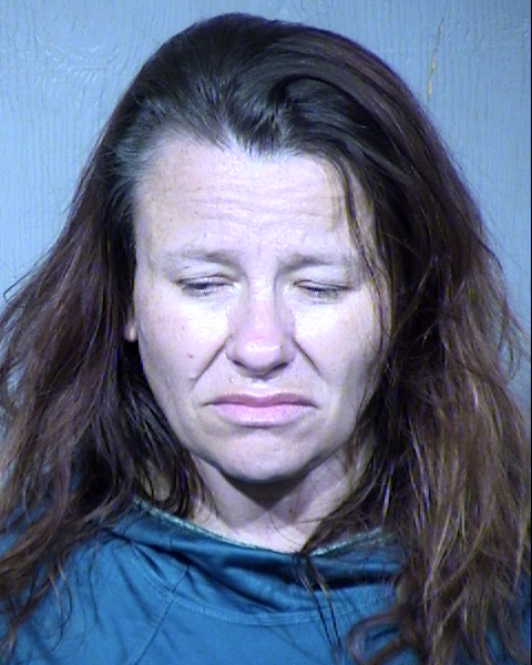 Gwendolyn Sue Hagan Wood Mugshot / Maricopa County Arrests / Maricopa County Arizona