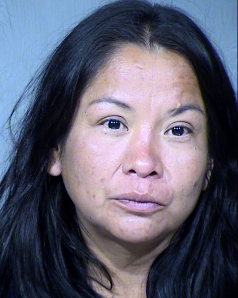 Mona Marie Touchine Mugshot / Maricopa County Arrests / Maricopa County Arizona