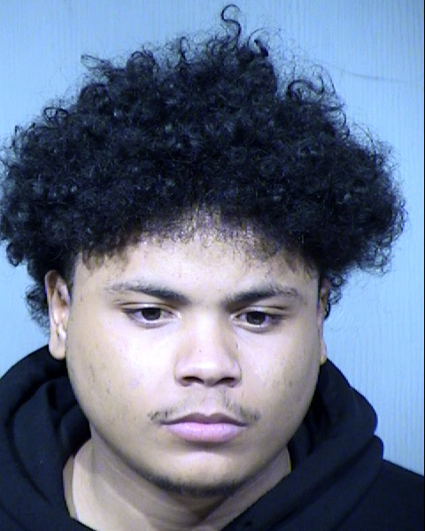 Walter Lee Mclemore Mugshot / Maricopa County Arrests / Maricopa County Arizona