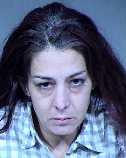 Kristin Nicole Ireland Mugshot / Maricopa County Arrests / Maricopa County Arizona