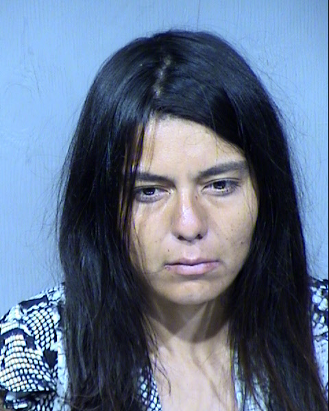 Renee Ann Wierzgacz Mugshot / Maricopa County Arrests / Maricopa County Arizona