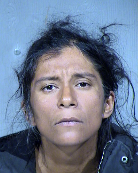 Dianna Marie Jaramillo Mugshot / Maricopa County Arrests / Maricopa County Arizona