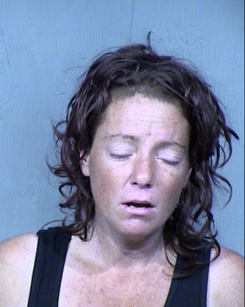 Sheena Marie Presley Carrillo Mugshot / Maricopa County Arrests / Maricopa County Arizona