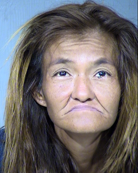 Gina Ann Perry Mugshot / Maricopa County Arrests / Maricopa County Arizona