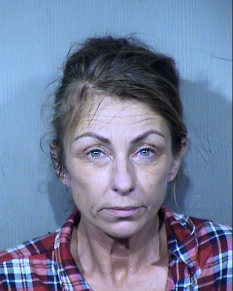 Jo Ellen Englander Mugshot / Maricopa County Arrests / Maricopa County Arizona