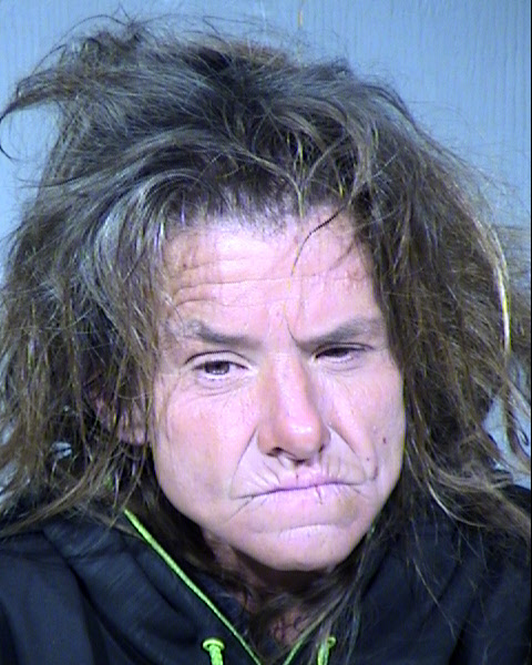 Joann Amy Ford Mugshot / Maricopa County Arrests / Maricopa County Arizona