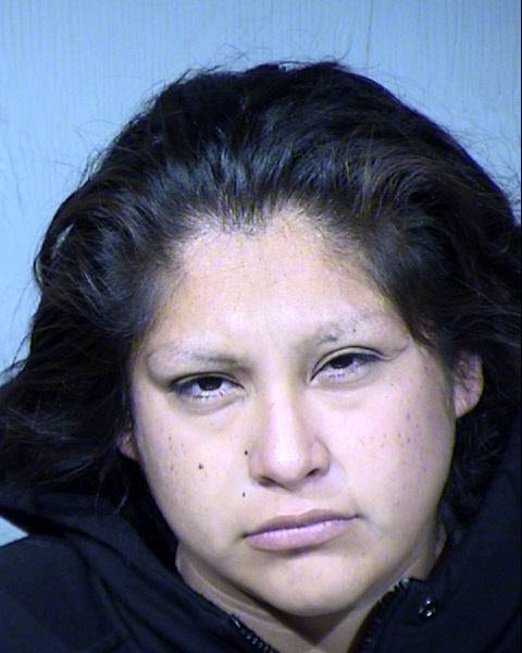 Maegin Lydia Jim Mugshot / Maricopa County Arrests / Maricopa County Arizona