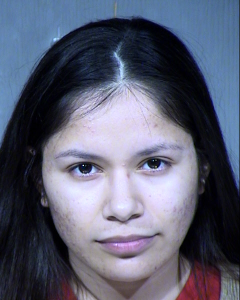 Salma E Ontiveros Mugshot / Maricopa County Arrests / Maricopa County Arizona