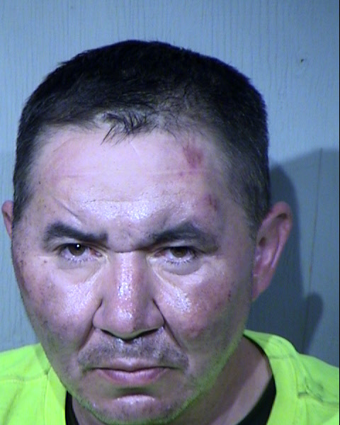 Shaun Taylor Farris Mugshot / Maricopa County Arrests / Maricopa County Arizona