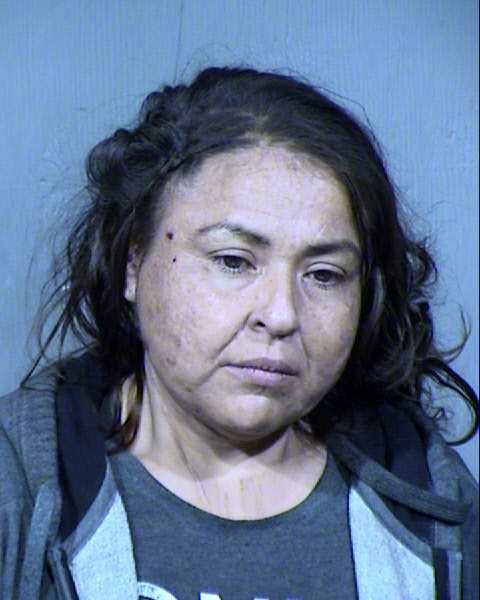 Danielle Marie Nunes Mugshot / Maricopa County Arrests / Maricopa County Arizona