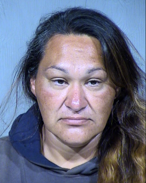 Sandra M Nava Mugshot / Maricopa County Arrests / Maricopa County Arizona