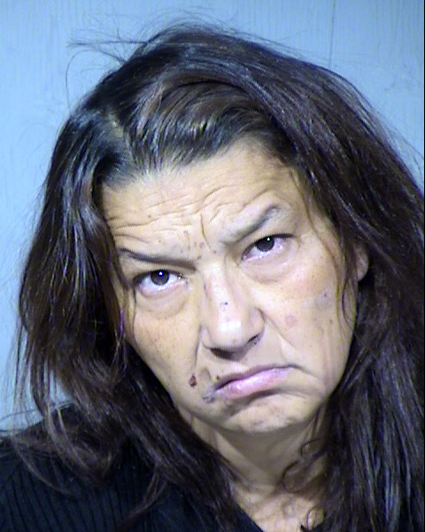 Patricia Marie Dudley Mugshot / Maricopa County Arrests / Maricopa County Arizona