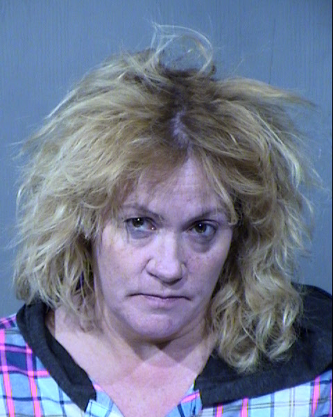Sharon Ann Lee Mugshot / Maricopa County Arrests / Maricopa County Arizona