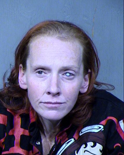 Jessica Nicole Bayless Mugshot / Maricopa County Arrests / Maricopa County Arizona