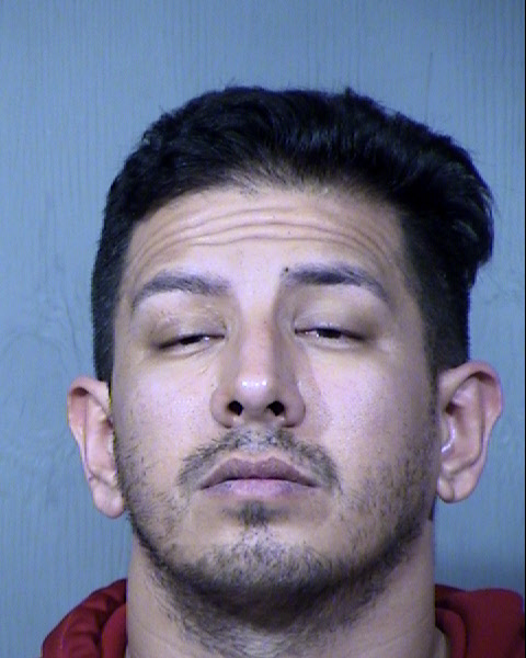 Theodore H Markov Mugshot / Maricopa County Arrests / Maricopa County Arizona