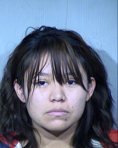 Megan Ann Marie Hubbard Mugshot / Maricopa County Arrests / Maricopa County Arizona