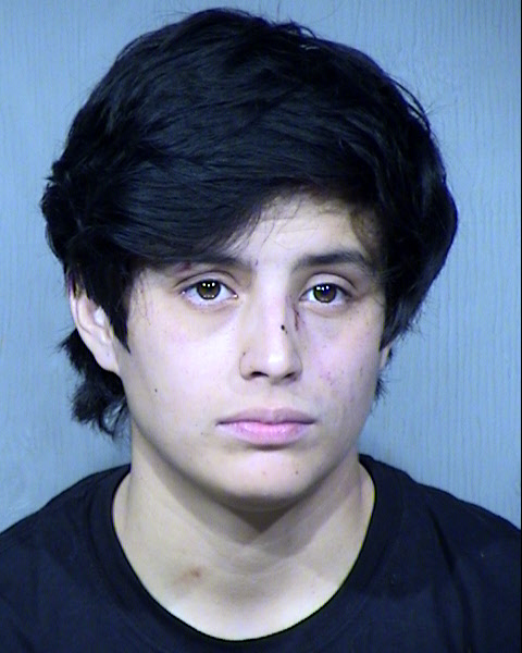 Sadie Mackenzie Stevens Mugshot / Maricopa County Arrests / Maricopa County Arizona