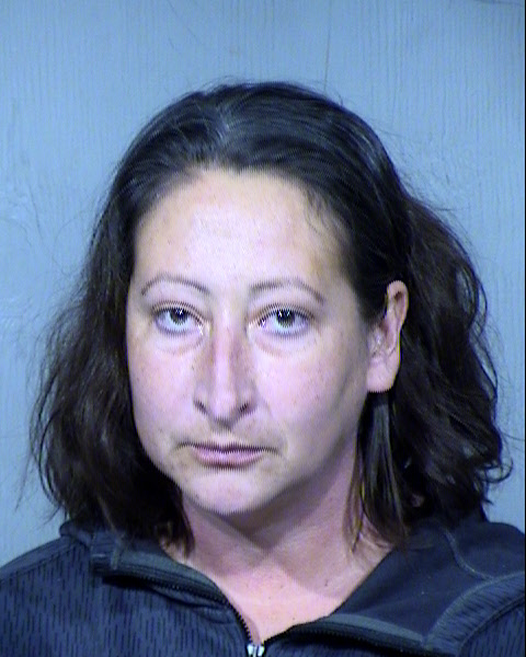 Elisa Marie Erhardt Mugshot / Maricopa County Arrests / Maricopa County Arizona
