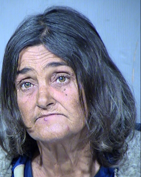 Diana Lynn Mckee Mugshot / Maricopa County Arrests / Maricopa County Arizona