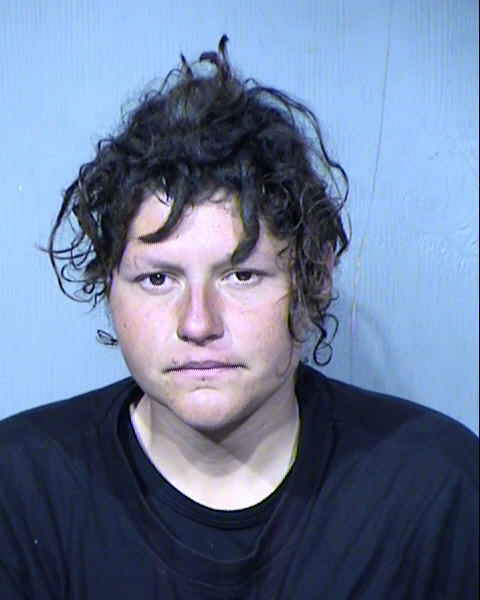 Sonia Victoria Overley Mugshot / Maricopa County Arrests / Maricopa County Arizona