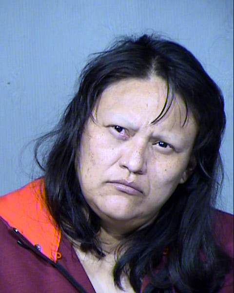 Trudy Manygoats Mugshot / Maricopa County Arrests / Maricopa County Arizona