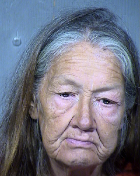Christy Jane Gardner Mugshot / Maricopa County Arrests / Maricopa County Arizona