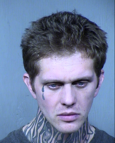 Lyle Joseph Widmark Mugshot / Maricopa County Arrests / Maricopa County Arizona