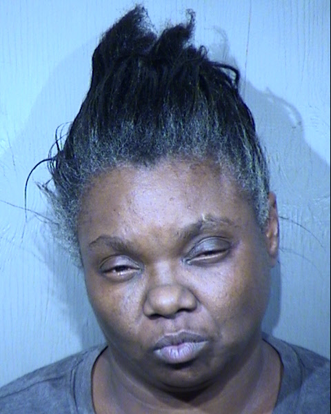 Renee R Mc Cowin Mugshot / Maricopa County Arrests / Maricopa County Arizona