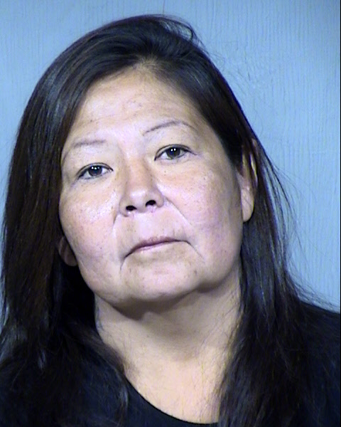 Elvira Brenda Tsosie Mugshot / Maricopa County Arrests / Maricopa County Arizona