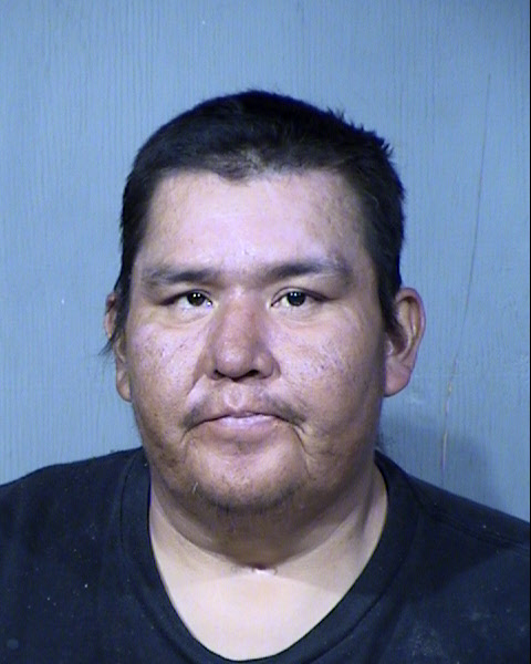 Robert Paul Palmer Mugshot / Maricopa County Arrests / Maricopa County Arizona